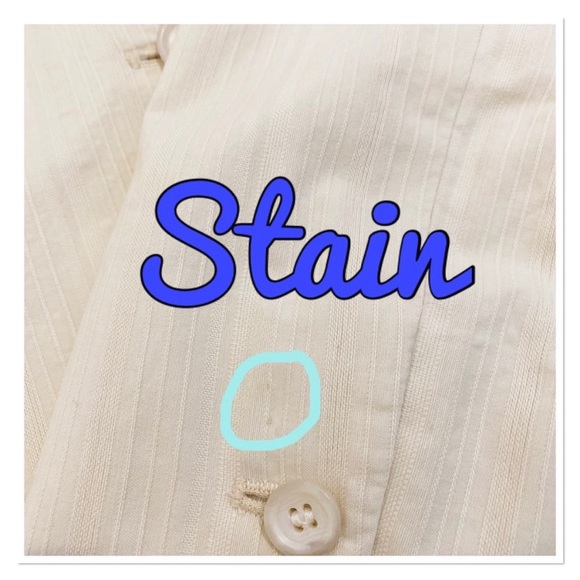 Ann Taylor Cream Striped Blazer Jacket, Size 8 - Picture 8 of 16